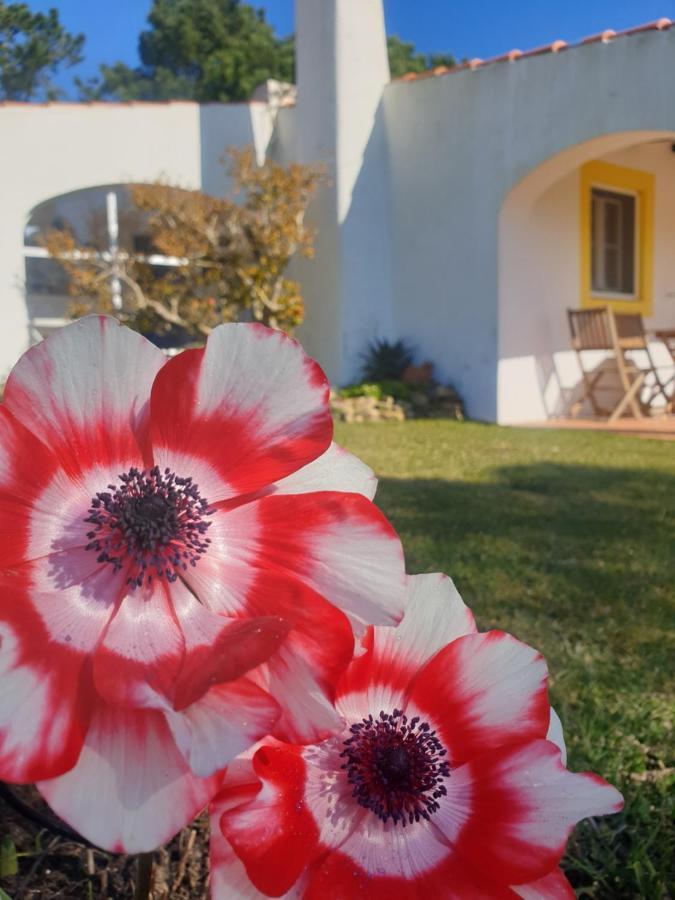 Vila Sondela Self Catering São Martinho do Porto Exteriér fotografie