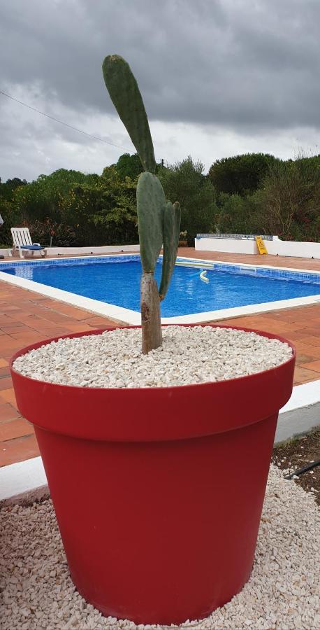 Vila Sondela Self Catering São Martinho do Porto Exteriér fotografie